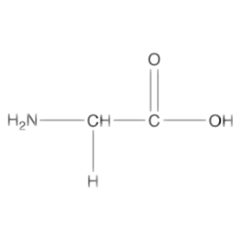 amino acid & suger