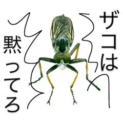 昆虫スタンプ 実写 悪そうな虫 Line スタンプ Line Store 昆虫スタンプ 実写 悪そうな虫 Line スタンプ Line Store