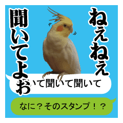 オカメインコの吹き出しで写真なスタンプ Line スタンプ Line Store オカメインコの吹き出しで写真なスタンプ Line スタンプ Line Store