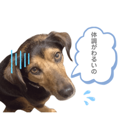 TETSU_20210822031941