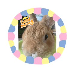 akiko_20210822003809