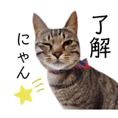 orange_20210822005324