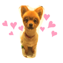 yukari_20210822095314