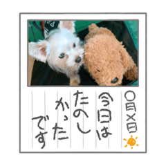 MIZUKI_20210822122203