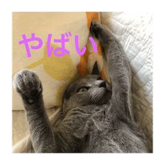 mayu*_20210822122426