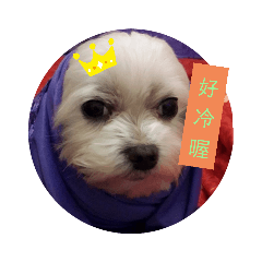 我就是這麼的可愛