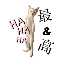risa_20210822123832