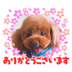 kaori_20210822132750