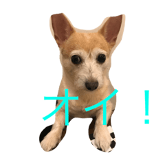milktipmoka