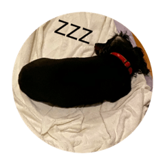 Hikari_20210822130952