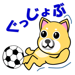 A shiba inu which plays soccer