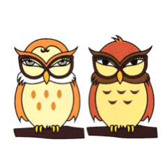 Owl daily sticker