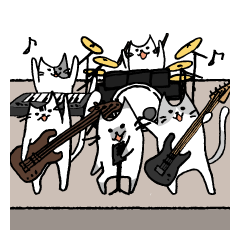 Rock band of cat