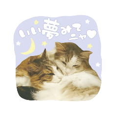 LandM_catstamp