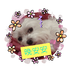 ❤️弟弟❤️