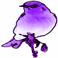 Purple bird