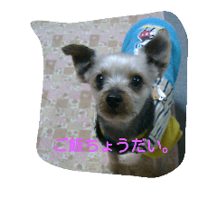 do-mu