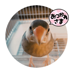 daichi_20210822203022