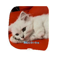 seira_20210822231010