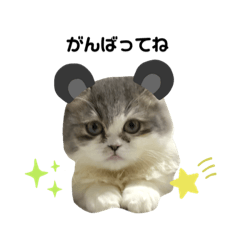 mizuki_20210823094411