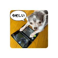 Nozomi_20210822210637