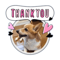 MATSU_20210822214800