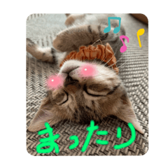 Asuka_20210822222128