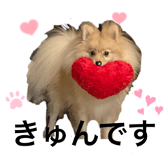 tono_20210823010635