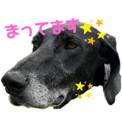 kanae_20210823001517