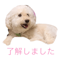 momoko_20210822231745