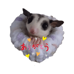 naho_20210823090850