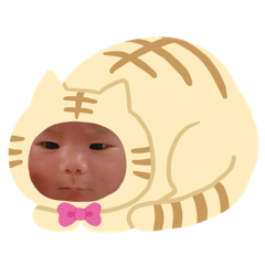 可愛小龍貓