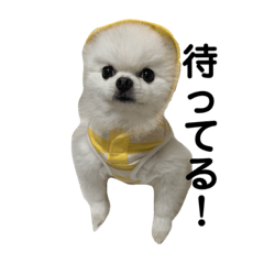 monaka_0913