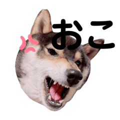 aozora_20210823110159