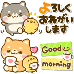 ぴよたぬき さん制作のlineクリエイターズスタンプまとめ Stamplist ぴよたぬき さん制作のlineクリエイターズスタンプまとめ Stamplist