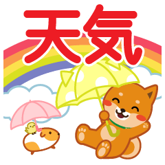 Shiba dog "MUSASHI" 30  The weather