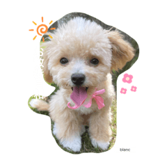 himawari_20210823012652