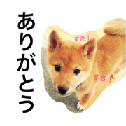 futachan.