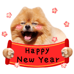 Wang Wang New Year!(English Ver)
