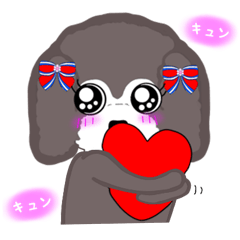 toy poodle.dog.