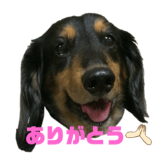 natsumi_20210823164228