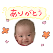 koki-