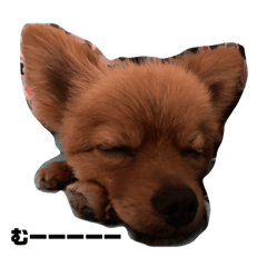 yukari_20210823190625