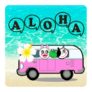 BROWN & FRIEND ALOHA with Cony
