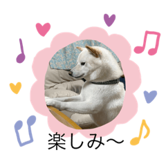 tomomi_20210823210459