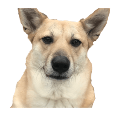 mizuki_20210824000409