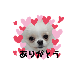 akiko_20210824001340