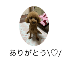 Kuu_20210823155231