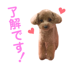 yuka_20210823183206
