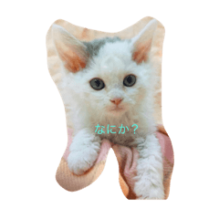 taki_20210823203742